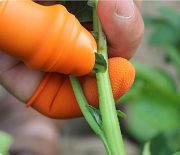 Vegetable And Fruits Thumb Cutter Finger cutter-5pcs