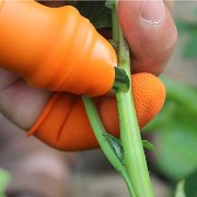 Vegetable And Fruits Thumb Cutter Finger cutter-5pcs